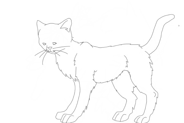 Color me Cat