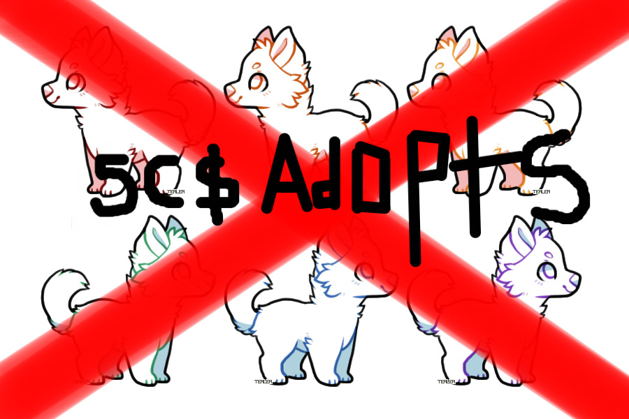 FIVE C$ ADOPTS