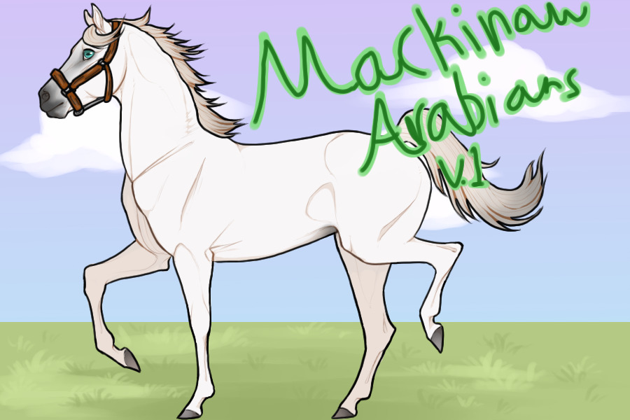 Macinaw Arabians V.1