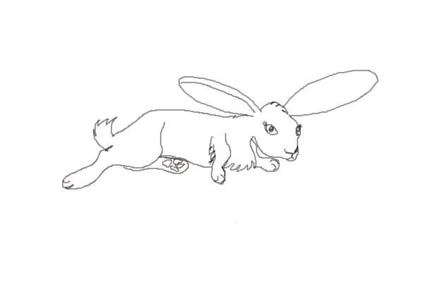 Homework Bunny Line Art