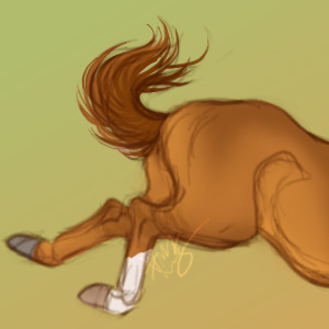 Bucky good time