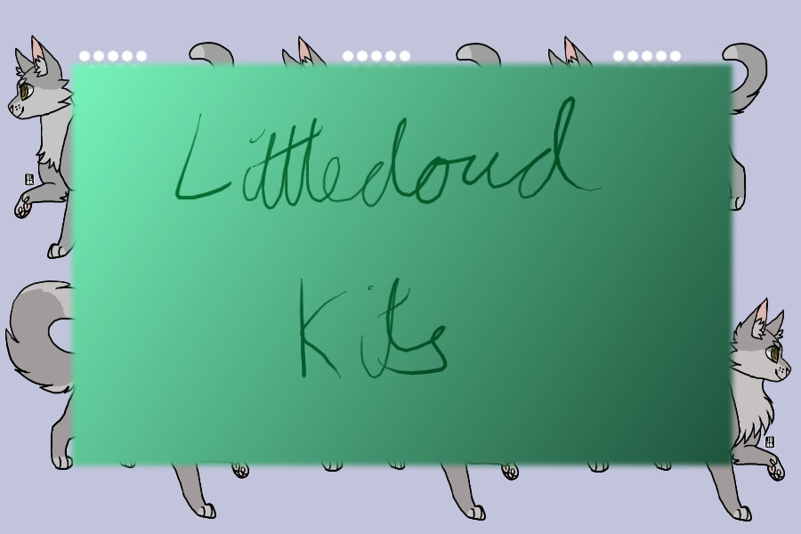littlecloud kits