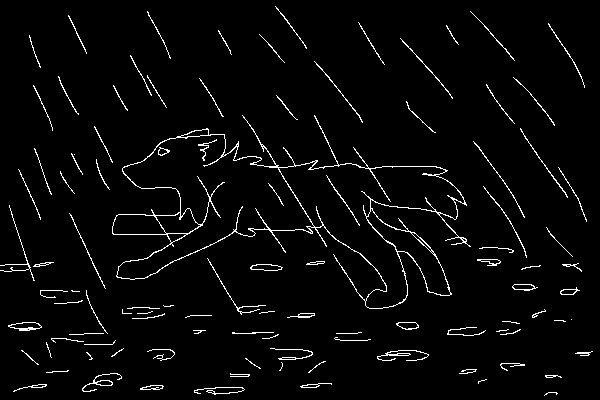 between the raindrops