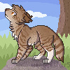 pixel comm for only_sky