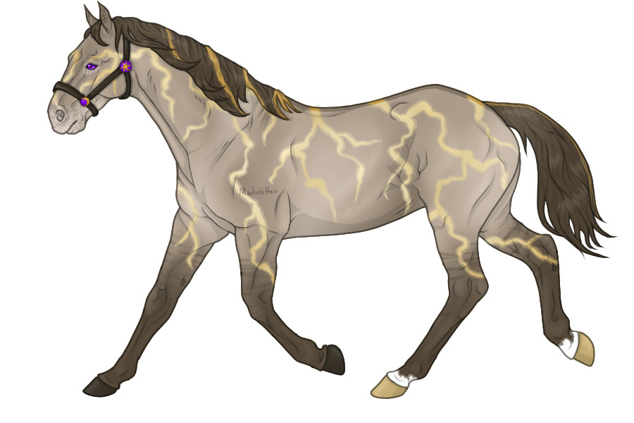 Sol Mustang #0022: Lun-Black Dun Champagne Stallion