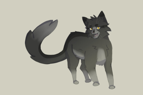 graystripe