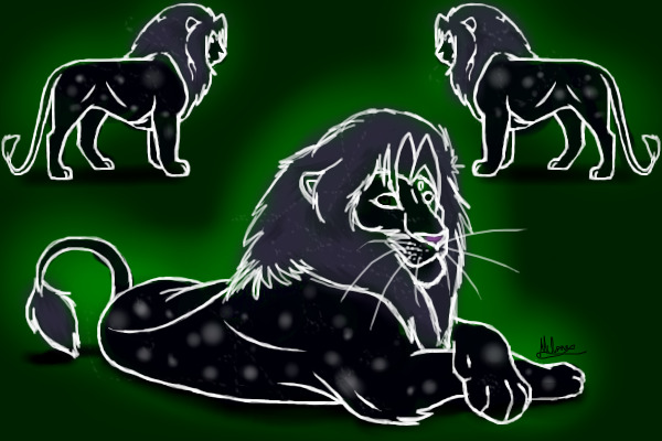 Night Prowler