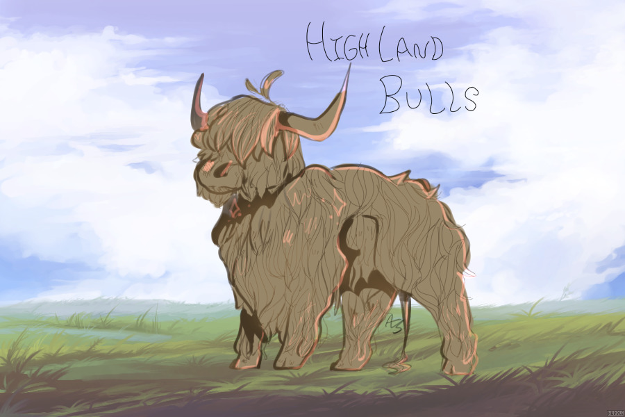 Highland Bulls! [Marking open!]
