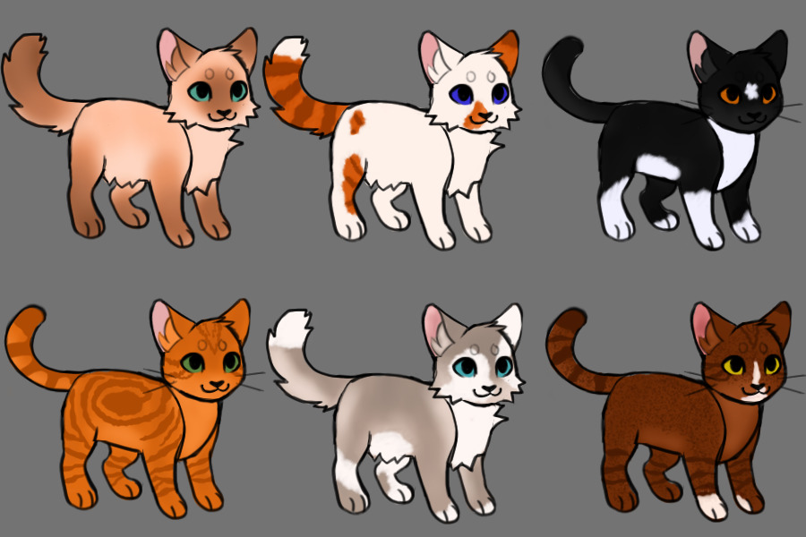 practicing some kitties