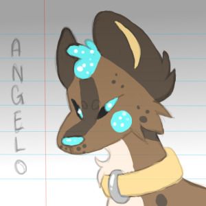 Angelo