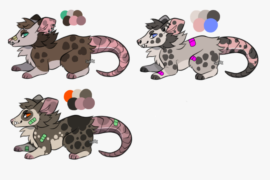 Opossum Adopts 1/3
