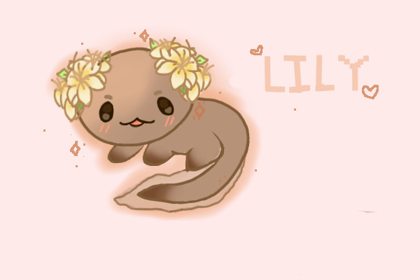 Lily the Axolotl