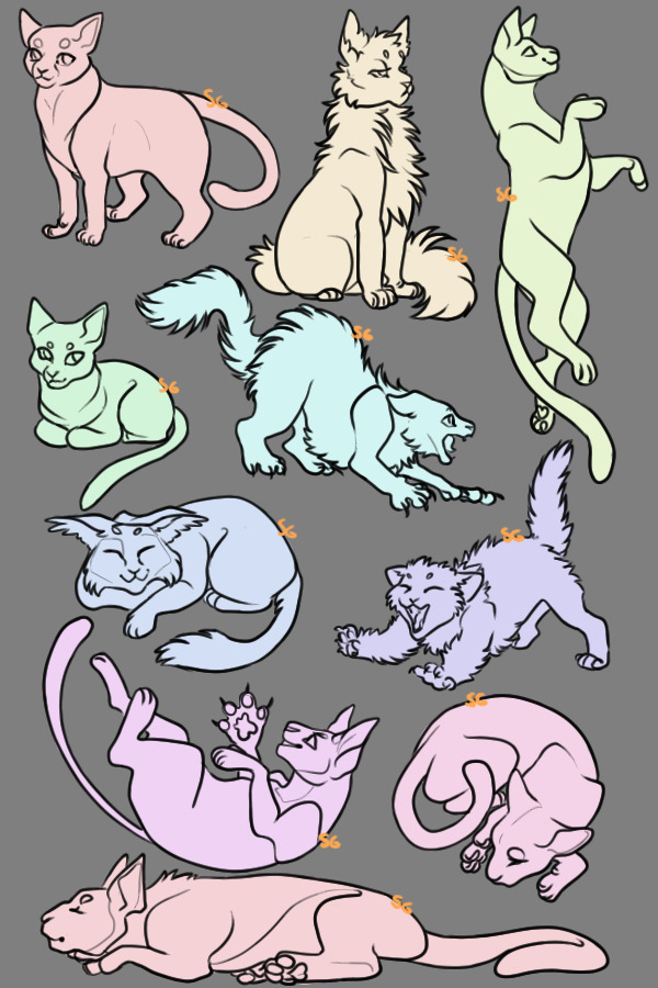 cat page editable