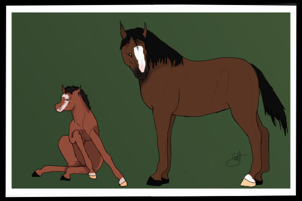 Ponies of Peglara