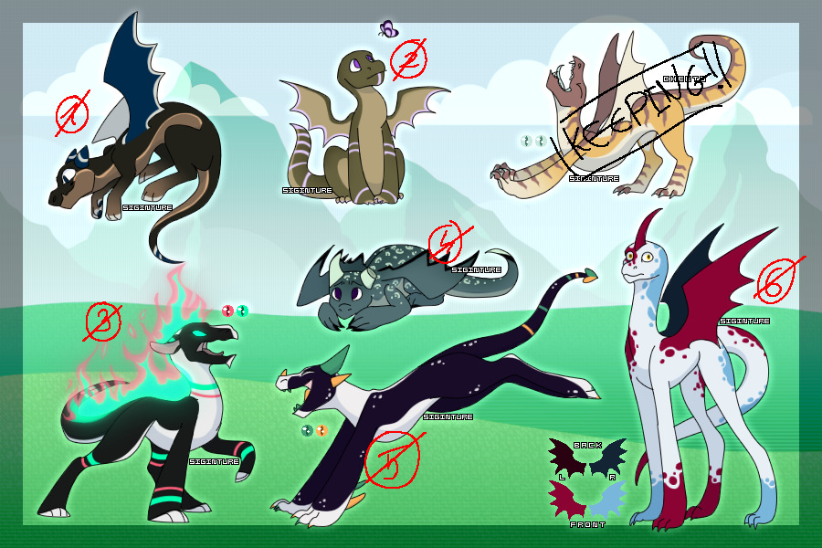 warmup adopts #17 - dragons edition - all gone! ♥