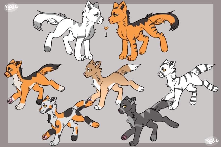 flash x snowstar babies