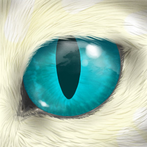 Driftflower's Eye