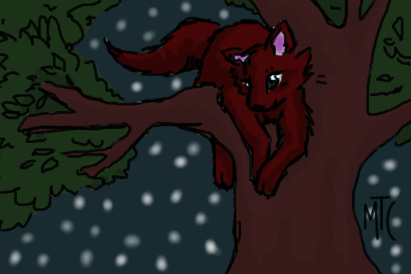 A Night's Rest