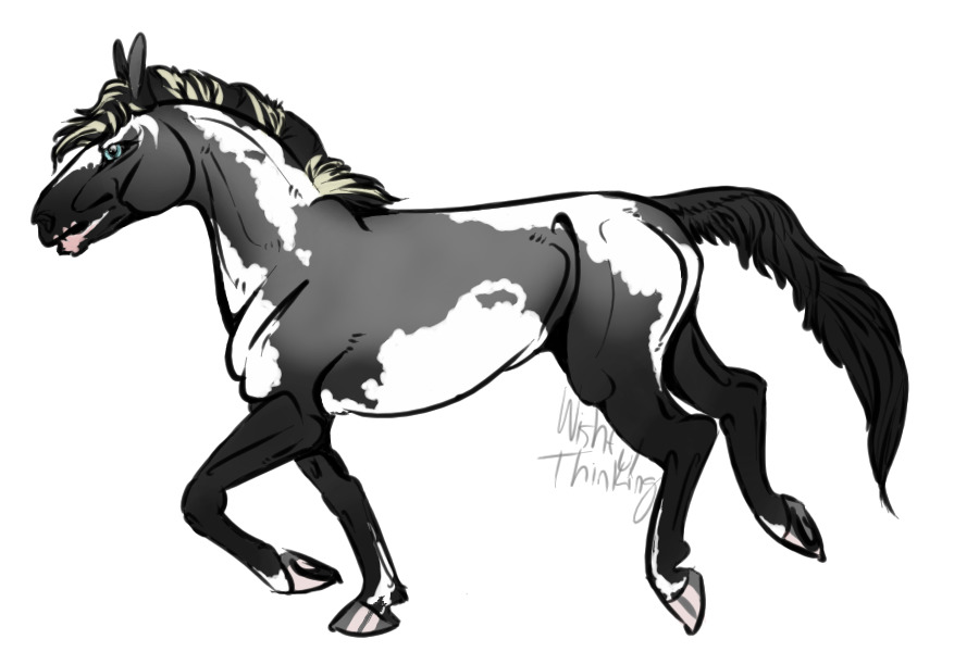 Horse Color-In #2