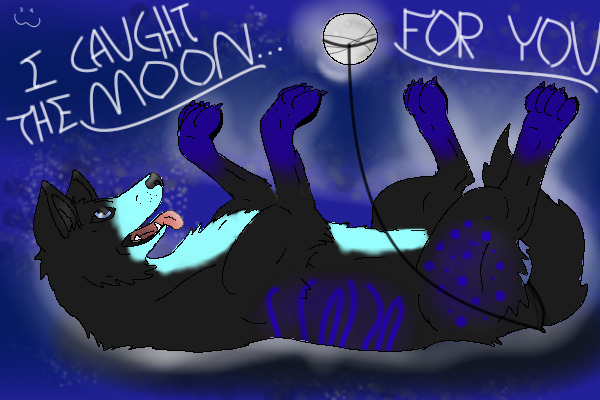 I Caught The Moon For You