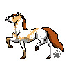 Unnamed horse