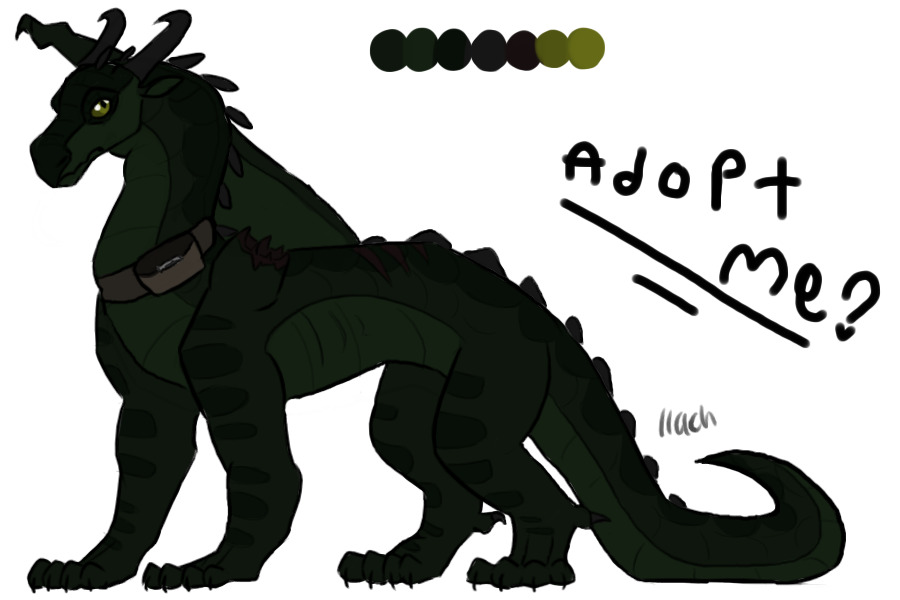 Nightwing Adopt (closed)