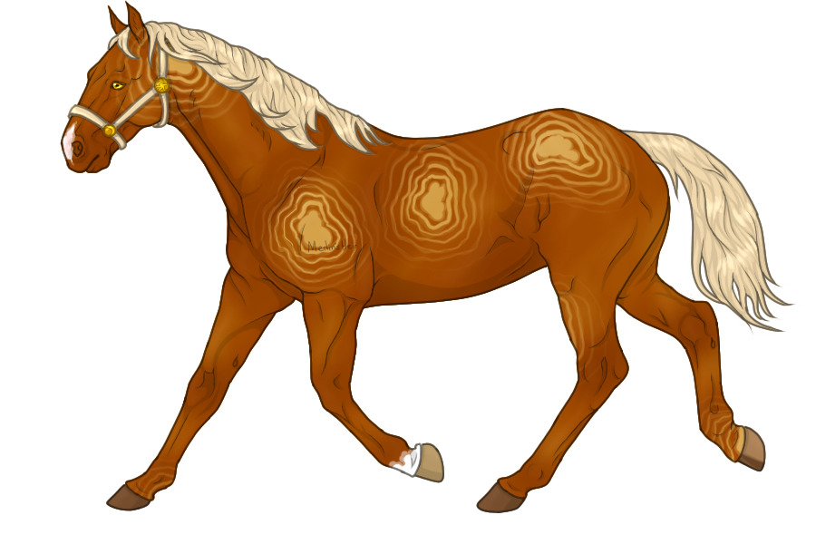 Sol Mustang #0026: Flaxen Sol-Apricot Mare