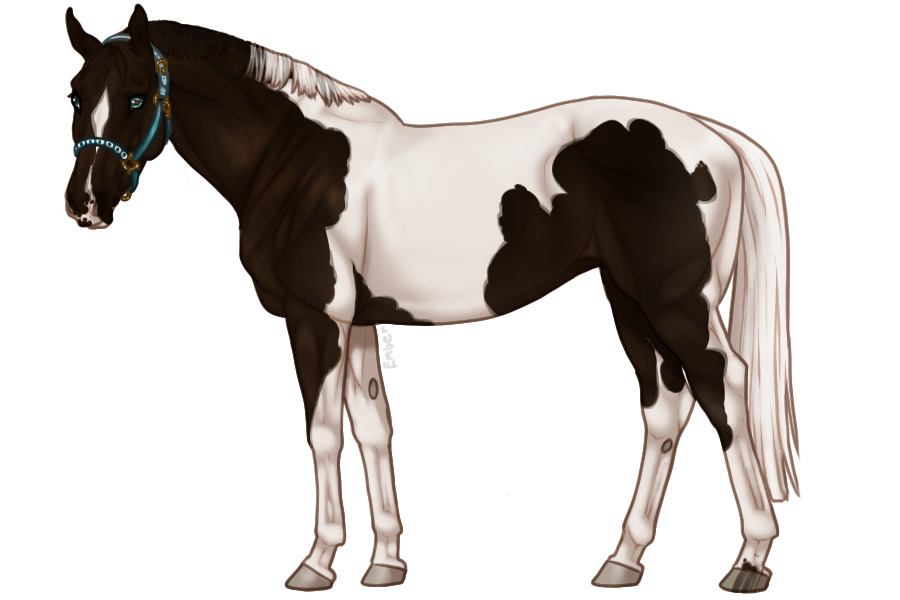 Euphorian Thoroughbred #758