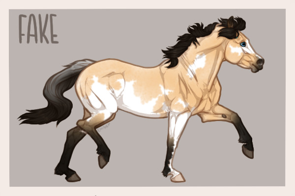 E4 - Buckskin