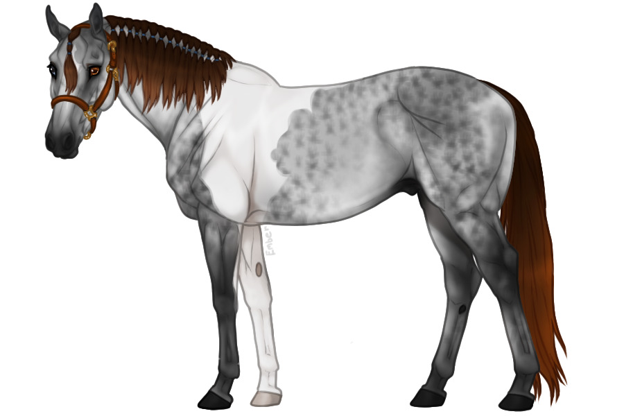 Euphorian Thoroughbred #822