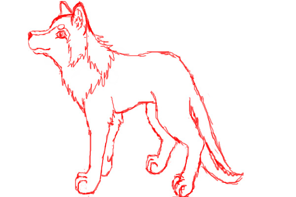 Dire Wolf Sketch
