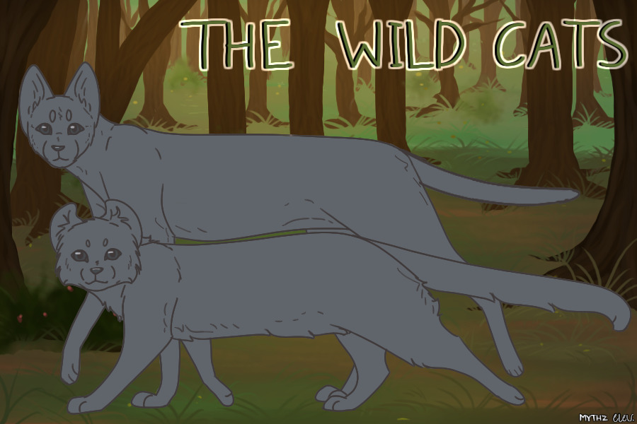 The Wild Cats | Wild Cat Adopts | Artist Search Open!