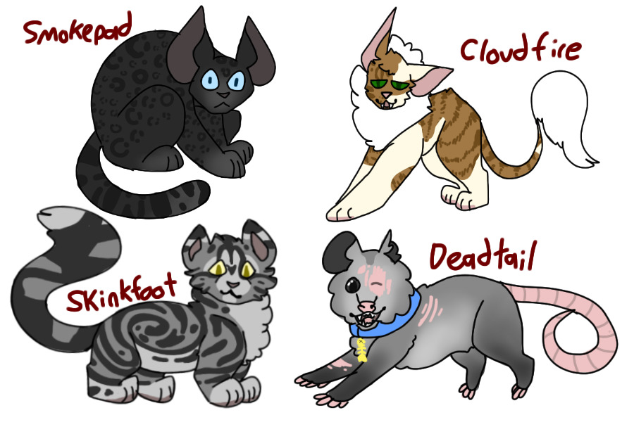 another batch of c$ warrior cats adopts (1 left)