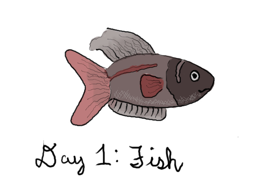Day 1: Fish
