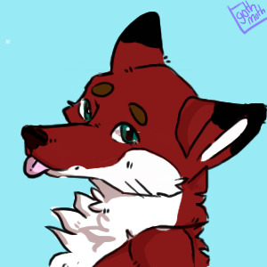 Volt is a cute foxy