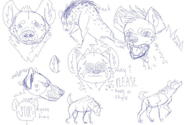 hyena studiezzz