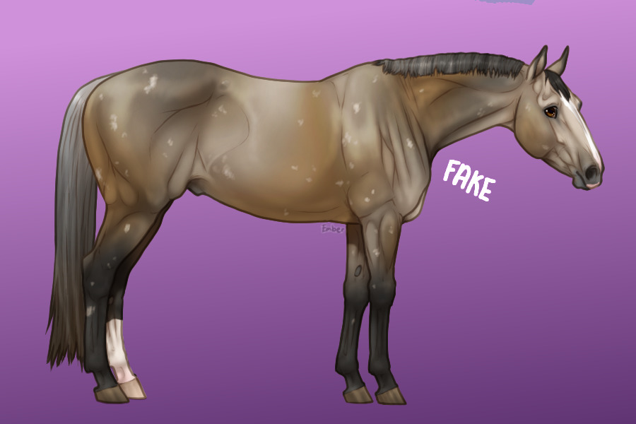 QH #2