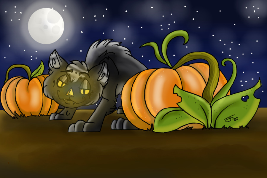 Pumpkin Cat