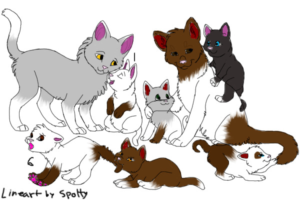Kits up for adoption!!