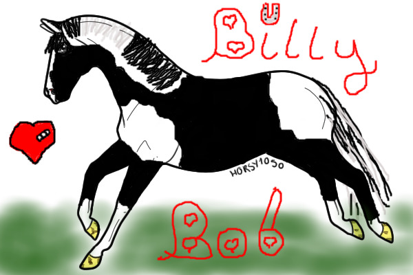 Billy Bob- My loan Horse