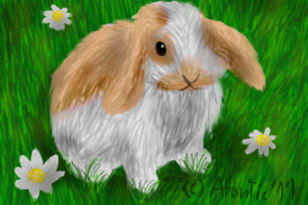 Bunny for Bully Pride