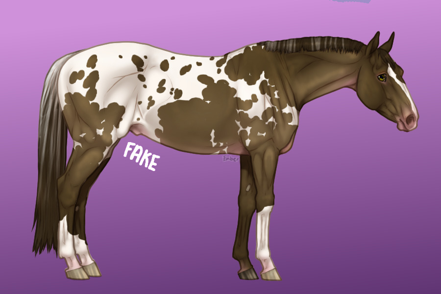 QH #6
