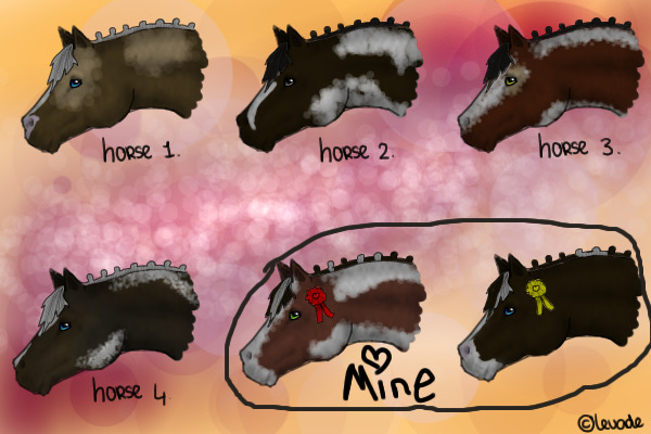 Adoptable Horses!