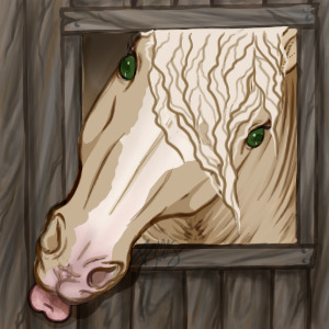 Horse looking out of the stable
