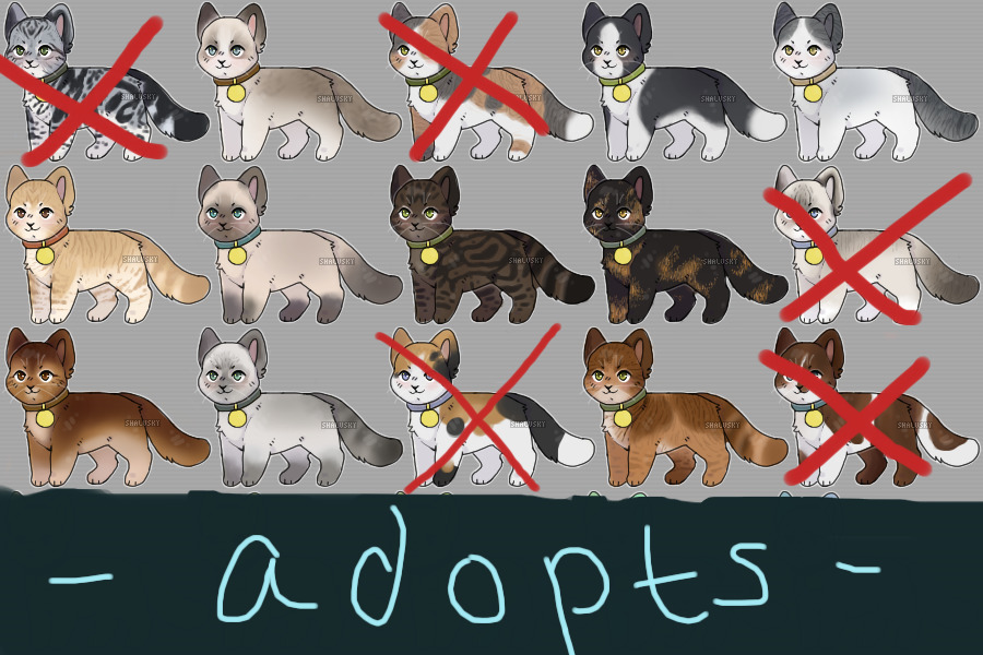 natural kitties adopts 2: 10/15 OPEN