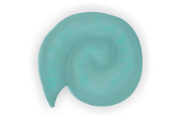 It's a shell