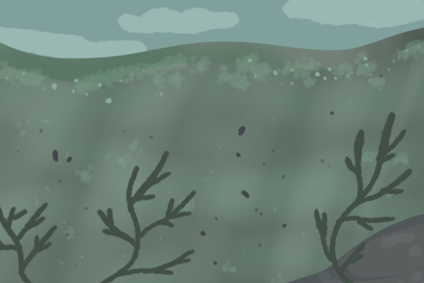 muddy water