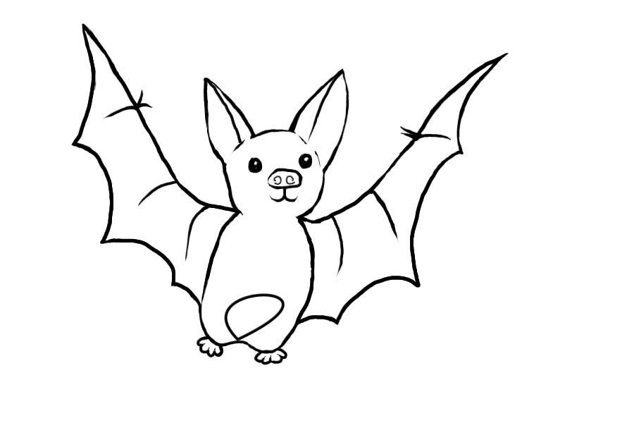Cute Little bat!
