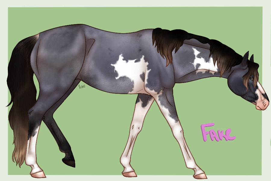 FVH entry - greying blue roan frame tobiano