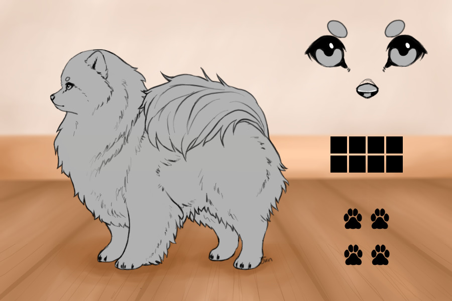 Pomeranian editable